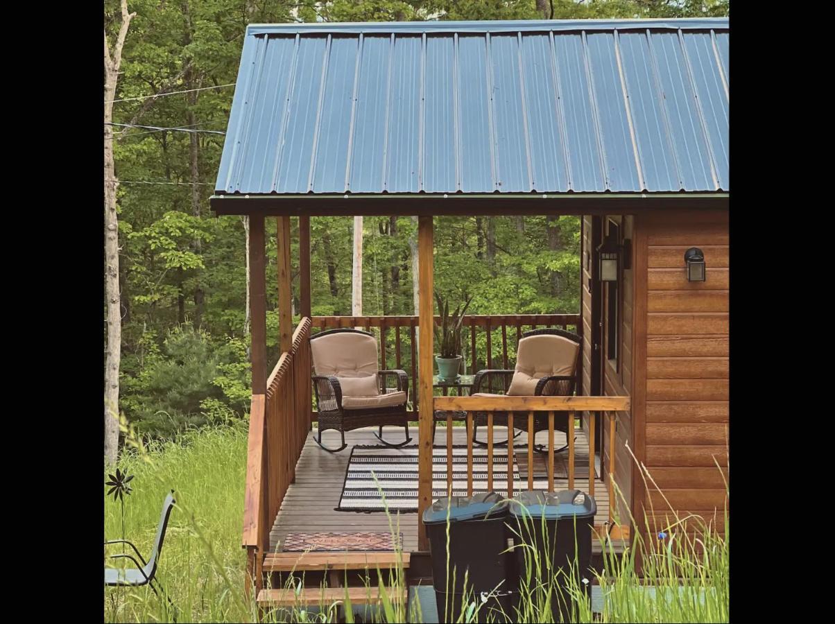 فيلا Dreamy Couples Cabin In The Shenandoah Forrest لوراي المظهر الخارجي الصورة